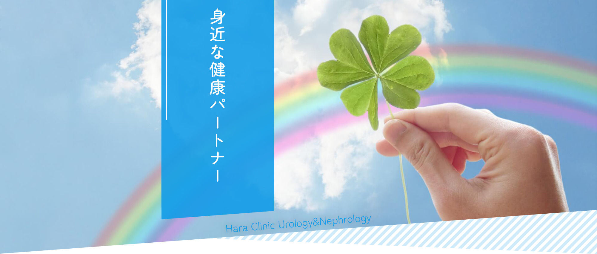 堺市堺区浅香山町、浅香駅、泌尿器科