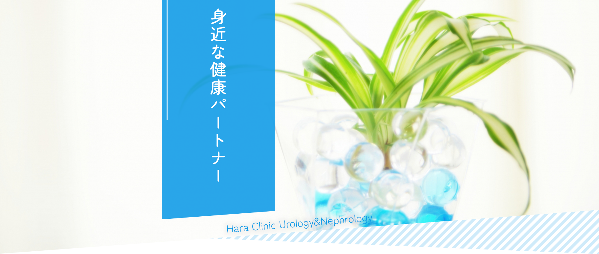 堺市堺区浅香山町、浅香駅、泌尿器科
