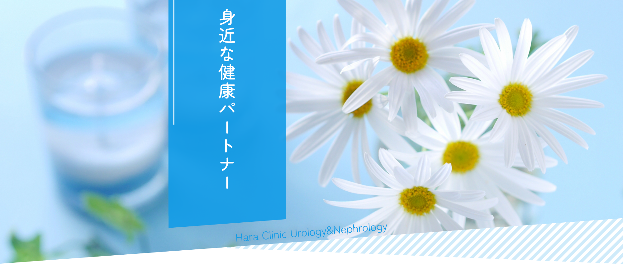 堺市堺区浅香山町、浅香駅、泌尿器科